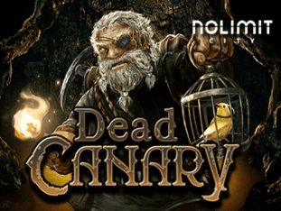 Dead Canary game cover